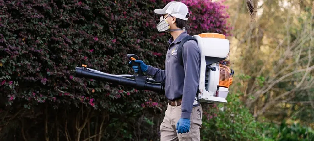 spraying for mosquitoes