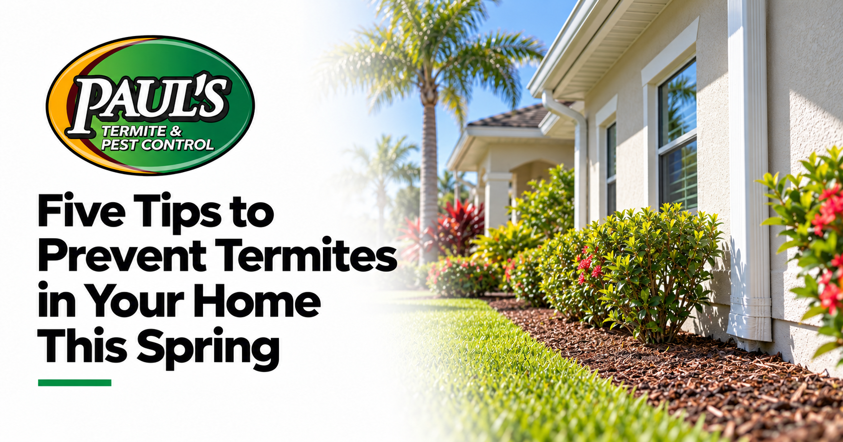 Paul's Termite & Pest Control guide: Five Tips to Prevent Termites in Your Home This Spring