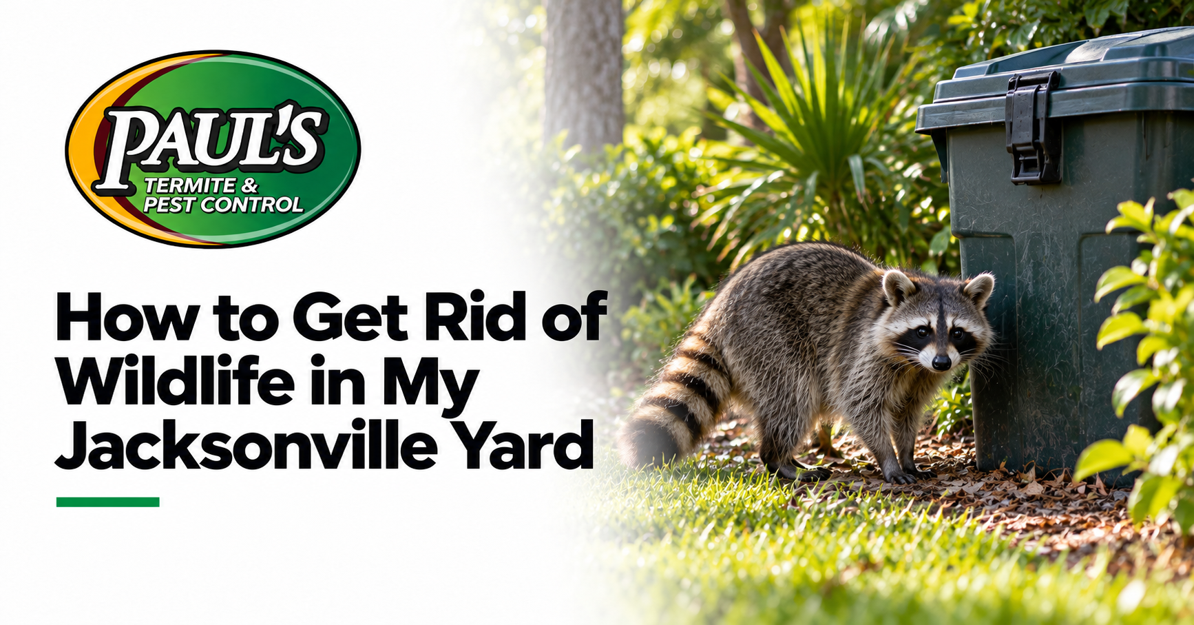 Paul's Termite & Pest Control guide: How to Get Rid of Wildlife in My Jacksonville Yard