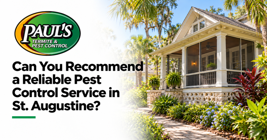 Paul's Termite & Pest Control guide: Can You Recommend a Reliable Pest Control Service in St. Augustine?