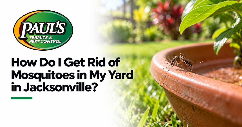 Paul's Termite & Pest Control guide: How Do I Get Rid of Mosquitoes in My Yard in Jacksonville?