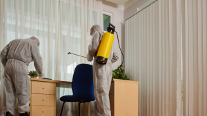 choose a pest control company
