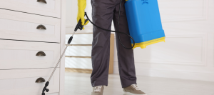 pest control cost in Tallahassee