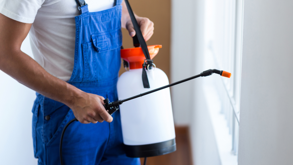 do I need pest control if I don't see bugs
