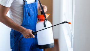 do I need pest control if I don't see bugs