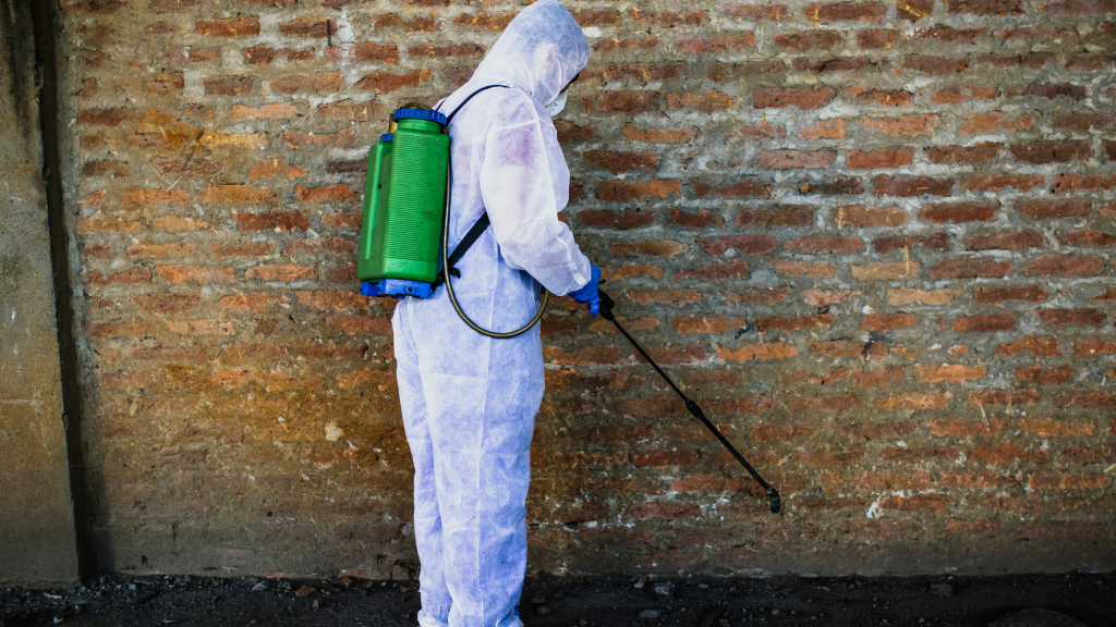 termite inspection Jacksonville