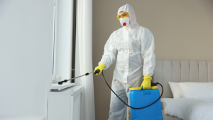 rodent control Jacksonville