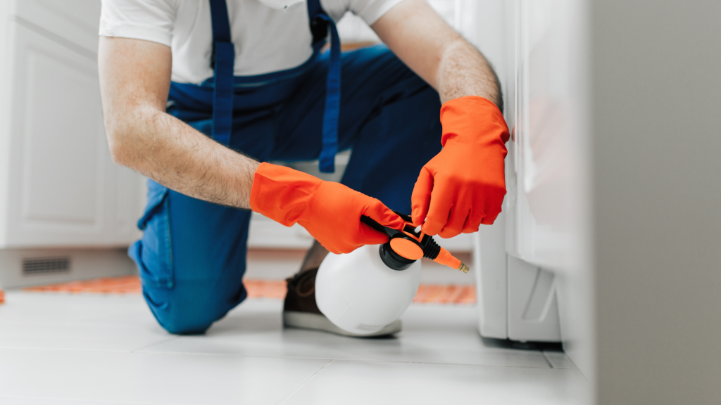 exterminator Atlantic Beach FL