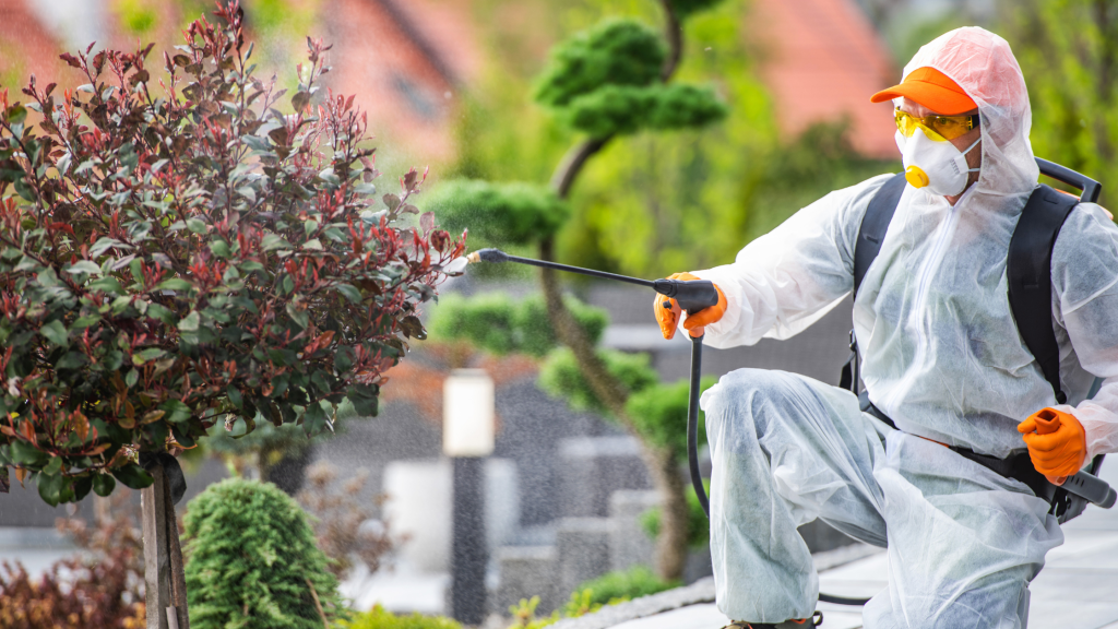 how to get rid of mosquitoes in yard Jacksonville