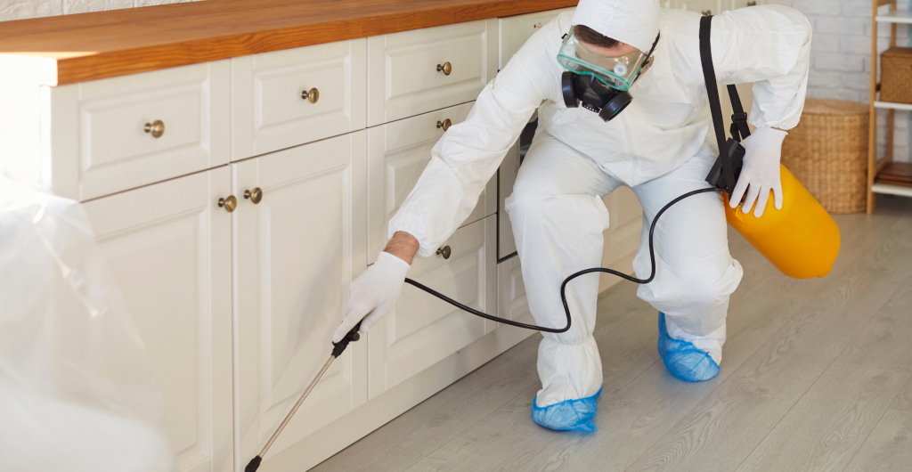 how to get rid of ants in Jacksonville home