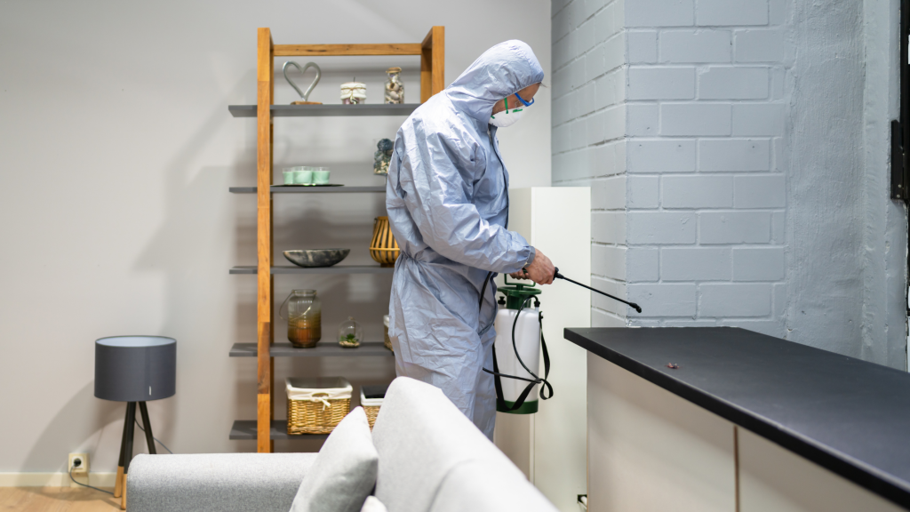 DIY vs professional pest control Jacksonville