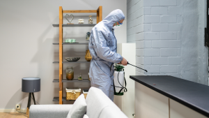 DIY vs professional pest control Jacksonville