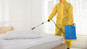 protect a vacation home from pests