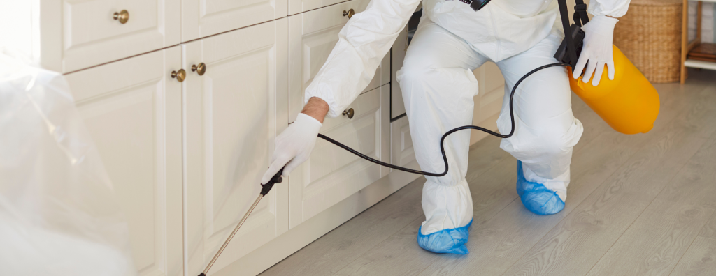 best pest control Jacksonville