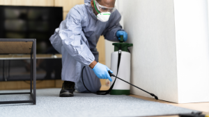 best roach exterminator Jacksonville