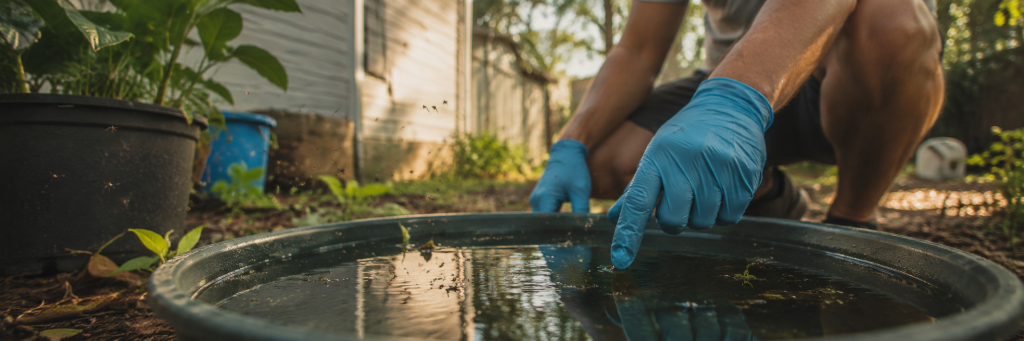 Mosquito Plan: Fix Standing Water After Storms