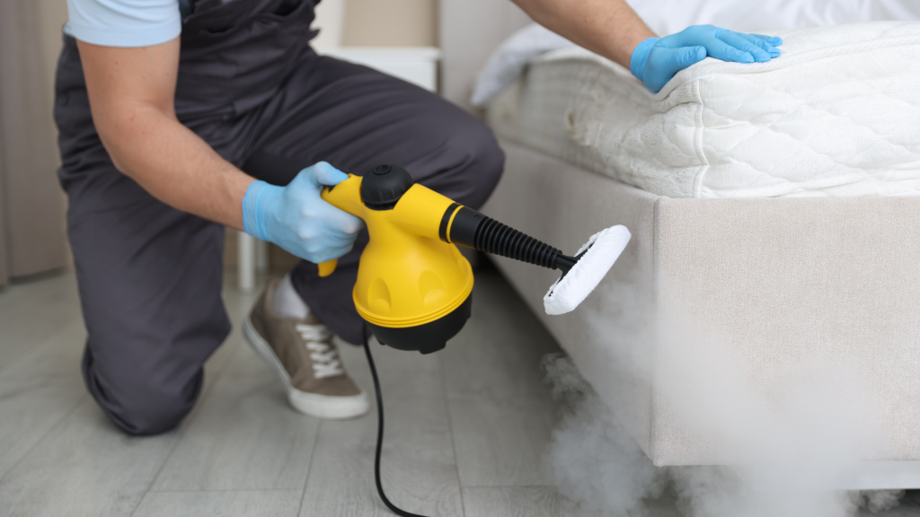 pest control Fleming Island