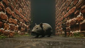 rodent
