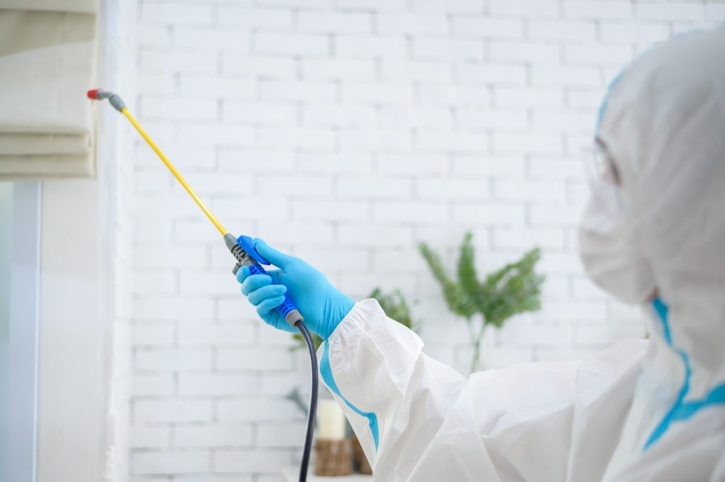 pest control