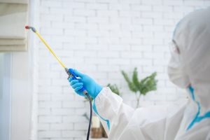 pest control