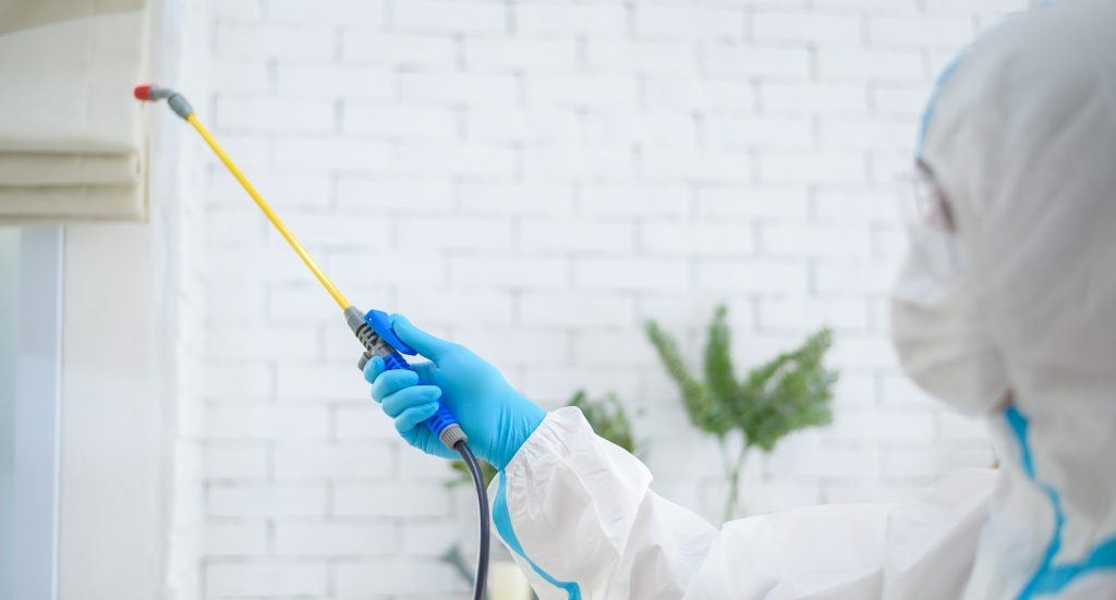 Pest Control FAQs for Homeowners