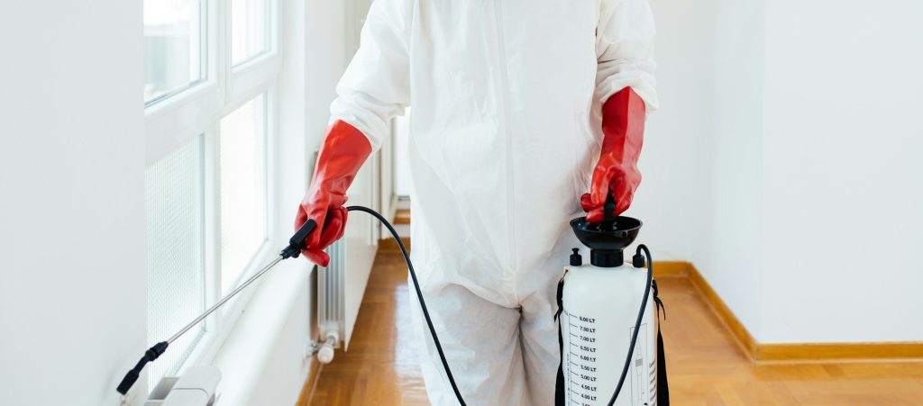One Roach in Your Home