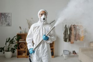 Exterminator