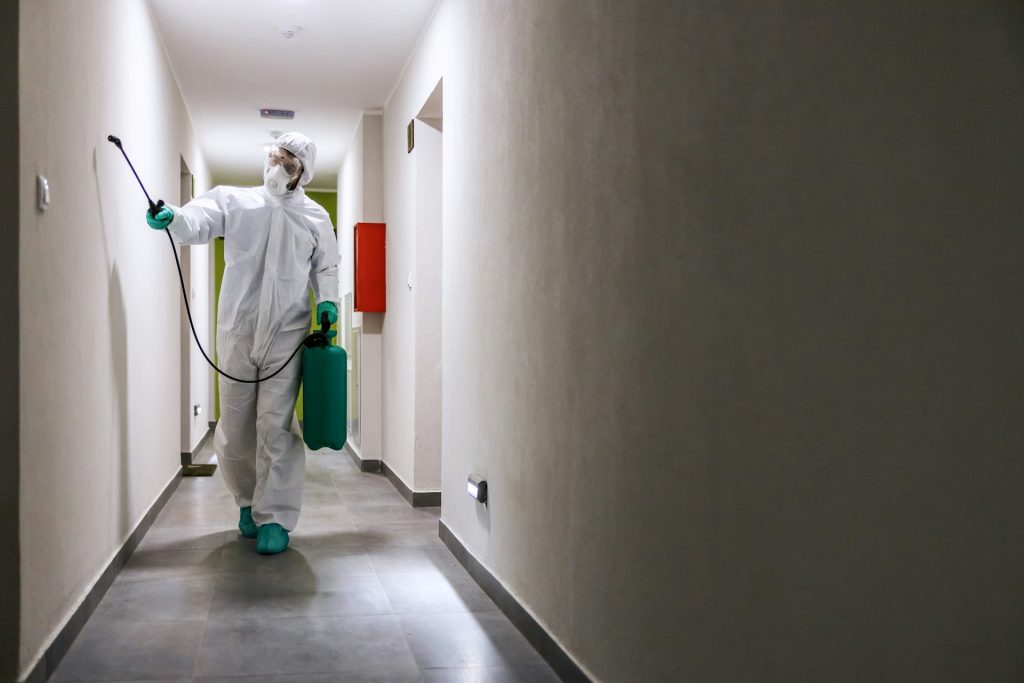 Tallahassee Pest Control Timing