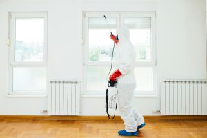 Late-Summer Mosquito Control