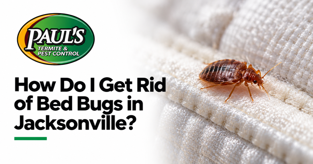 Paul's Termite & Pest Control guide: How Do I Get Rid of Bed Bugs in Jacksonville?