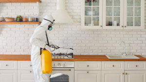 eco-friendly pest control jacksonville
