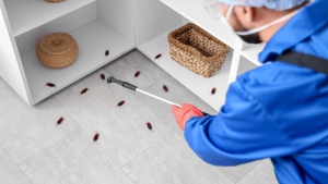 cockroach control Jacksonville FL