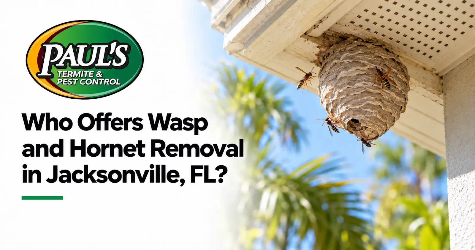 Paul's Termite & Pest Control guide: Who Offers Wasp and Hornet Removal in Jacksonville, FL?